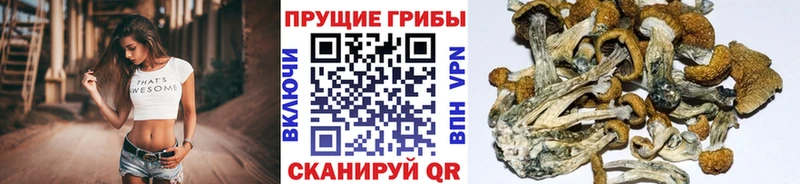 Галлюциногенные грибы MAGIC MUSHROOMS  Балашов 